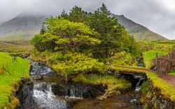 El parque de Kunoy, el bosque de las Feroe