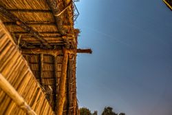 Vista nocturna desde nuestras cabañas dentro del parque de South Luangwa