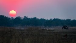 Una paradita para ver el anochecer durante los safaris siempre resulta agradable