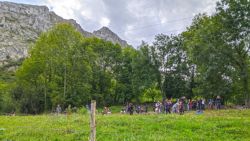 La zona autorizada en Gua para ver osos, llena de gente