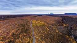 El arbolado cañón de Asbyrgi en Islandia