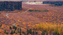 El cañón de Ásbyrgi, sí, hay árboles en Islandia