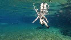 Fotografía: Así son las aguas de la Laguna del Japonés