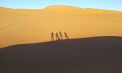 Sombras de personas sobre dunas del desierto al atardecer  