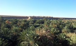 Ruinas de una antigua muralla en medio de un oasis verde  