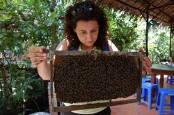 Mujer observando un panal de abejas en un entorno natural  