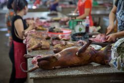 Mercado de carne con animales asados en mostrador.  
