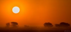 El sol por qué es tan redondo en África