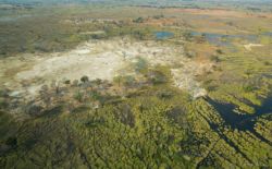 Vista aérea del okavango