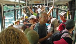 Bus interno a diferentes zonas en Yosemite