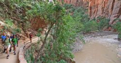 Ruteando por el cañón en Zion