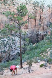 Zona de cadenas en Zion