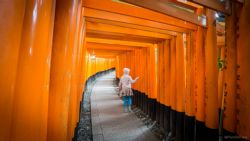 Unas pocas puertas Torii en Fushimi Inari