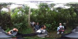 Así es la selva de budongo buscando Chimpancés en 360 grados