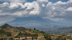 Parque e los volcanes, a la busca de gorilas en Ruanda