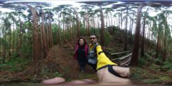 Bosques de cuento en 360 recorriendo la ruta la Chambre en Terceira