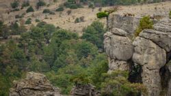 Fotografía: Buitres sobre las rocas en los miradores de Las Majadas